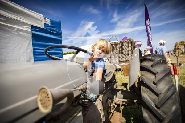 Picture by Sophie Rabey.  16-08-23.   West Show 2023.  Day 1 of judging.
Teddy O'Neill (aged 2) loves tractors.